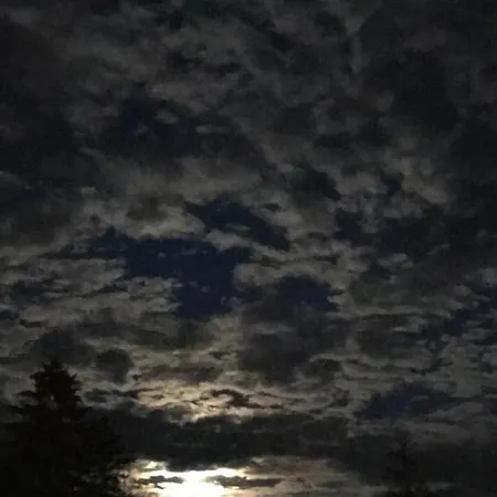 Апартаменты Reiss Ii *