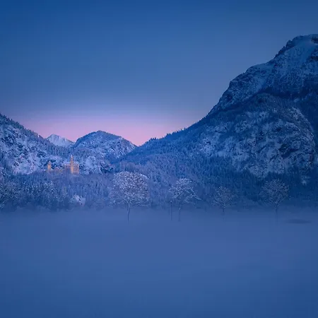 Apartament Reiss Ii *