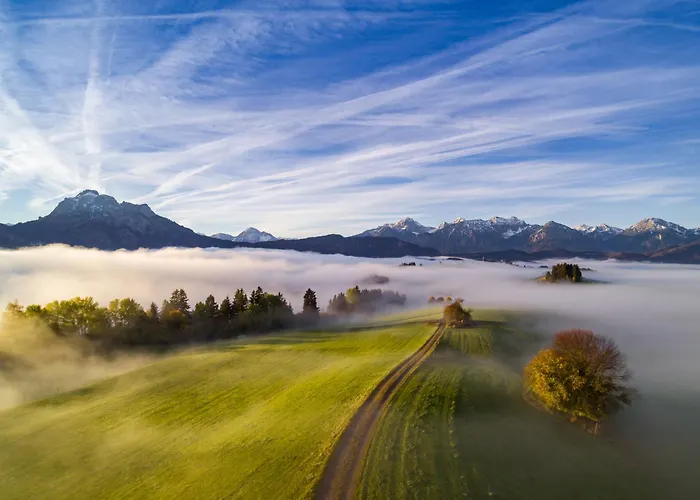 Apartment Reiss Ii *